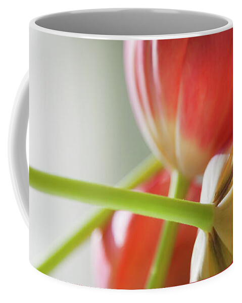 Floral Coffee Mug featuring the photograph Tulips In The Morning by Theresa Tahara