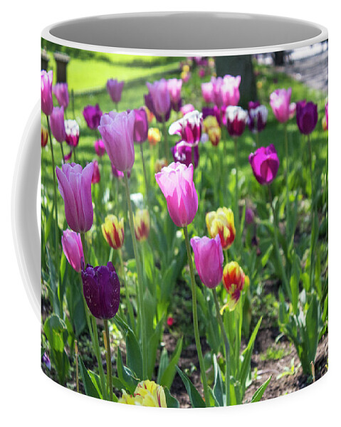Flower Coffee Mug featuring the photograph Tulips Park Gardens by Doc Braham