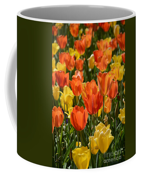  Coffee Mug featuring the painting Tulips Yellow and Tangerine by Constance Woods