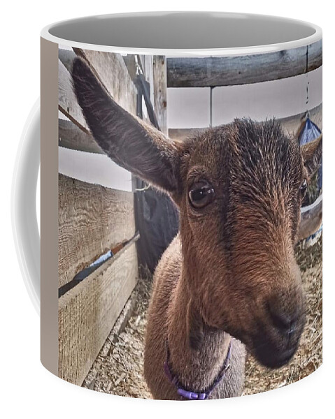 Goat Coffee Mug featuring the photograph Tuned In by Dani McEvoy