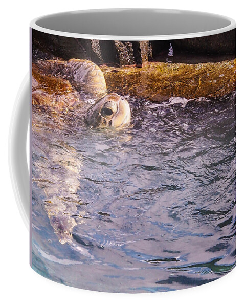 Karen Zuk Rosenblatt Art And Photography Coffee Mug featuring the photograph Turtle Haven II - St Thomas US Virgin Islands by Karen Zuk Rosenblatt