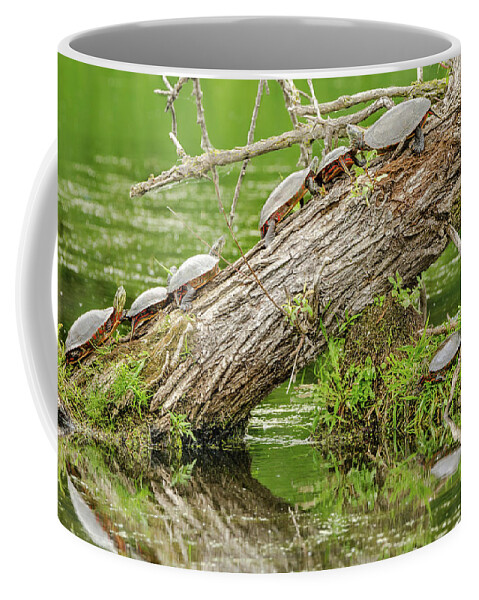 Horicon Coffee Mug featuring the photograph Turtle Trunk by Wild Fotos