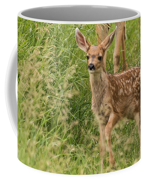 Mule Deer Fawn Coffee Mug featuring the photograph Twilight Fawn #3 by Mindy Musick King