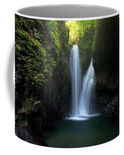 Waterfall Coffee Mug featuring the photograph Twin Falls by Andrew Kumler