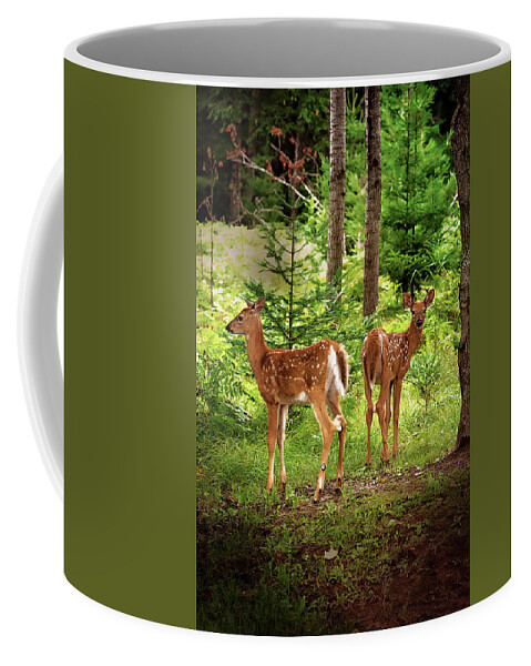 Whitetail Deer Coffee Mug featuring the photograph Twin Fawns Print by Gwen Gibson