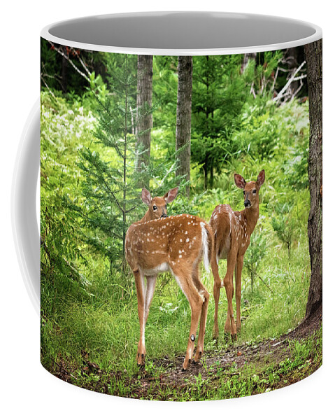 Twin Fawn Print Coffee Mug featuring the photograph Twin Fawns Whitetail Deer Print by Gwen Gibson