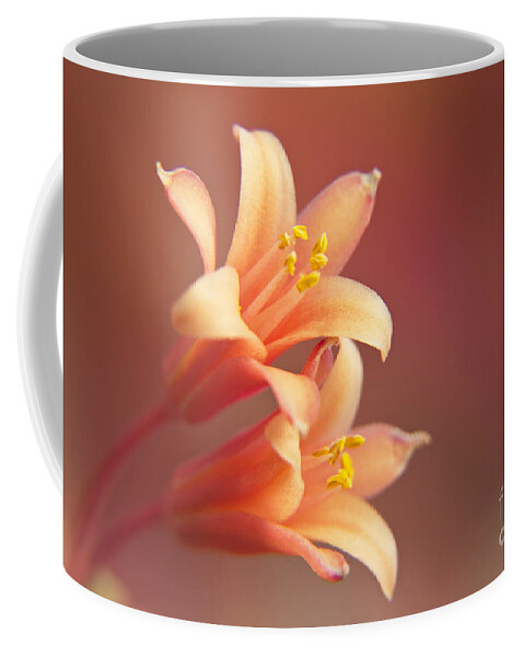 Wall Art Coffee Mug featuring the photograph Twin Yucca Flowers by Kelly Holm