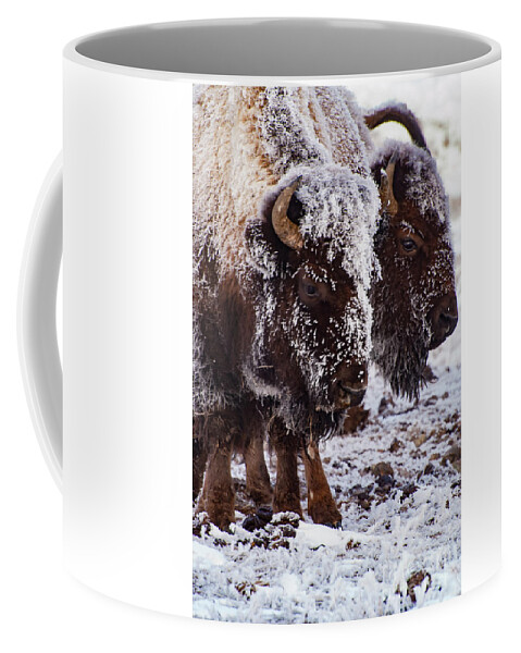 Yellowstone National Park Coffee Mug featuring the photograph Twins by Bob Phillips