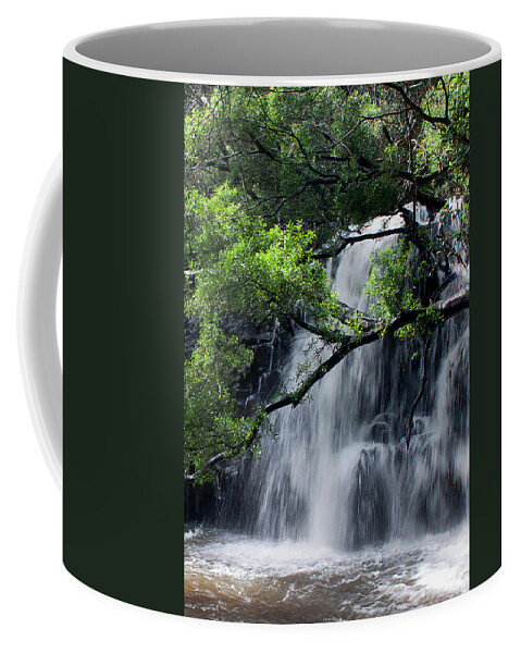 Waterfall Coffee Mug featuring the photograph Twins Waterfalls by Ivete Basso Photography