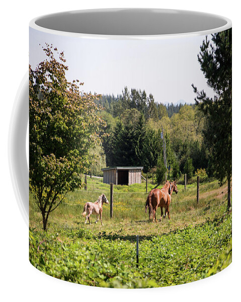 Two Chestnut Horses And A Shetland Pony Coffee Mug featuring the photograph Two Chestnut Horses and a Shetland Pony by Tom Cochran