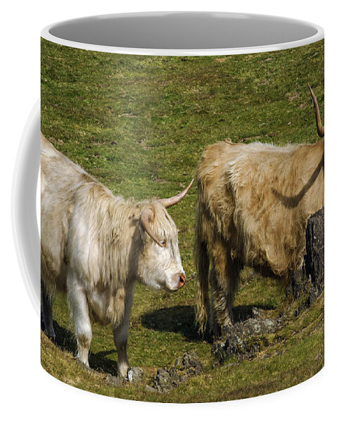 Highland Cows Coffee Mug featuring the photograph Two Coos by Linsey Williams