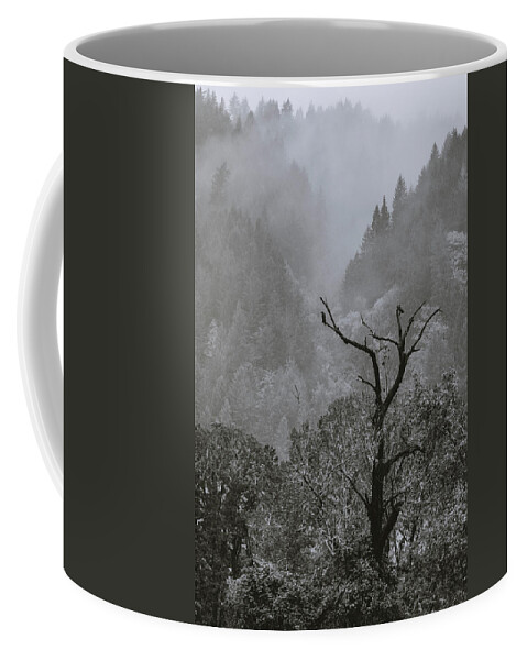 Black And White Coffee Mug featuring the photograph Two Crows in the Oregon Rain Black and White by Catherine Avilez