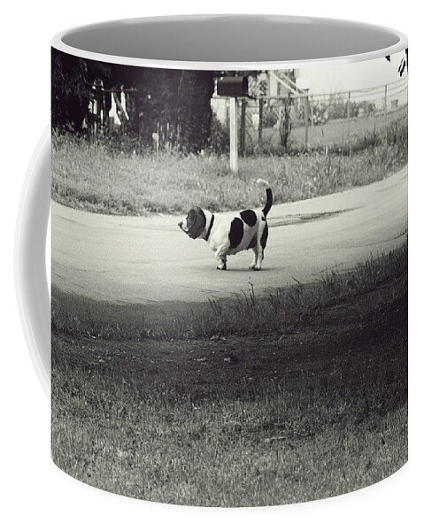 Dogs Coffee Mug featuring the photograph Little Pooch, Big Pooch by Toni Hopper