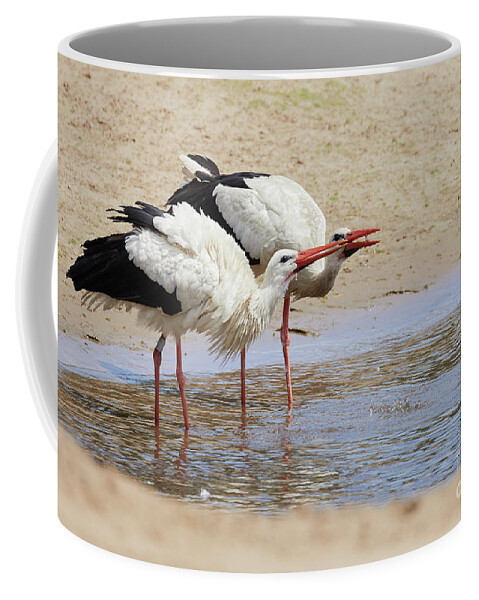 Two Coffee Mug featuring the photograph Two drinking white storks by Nick Biemans