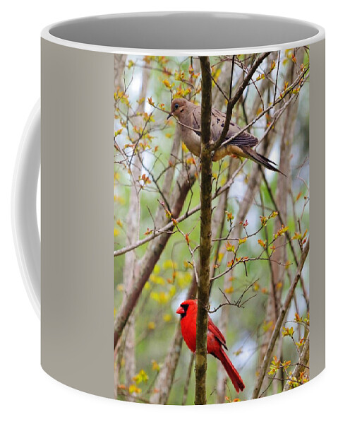 Birds Coffee Mug featuring the photograph Two For One by Eileen Brymer