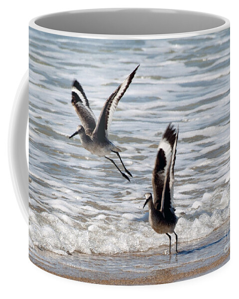 Birds Coffee Mug featuring the photograph Outer Banks OBX #8 by Buddy Morrison