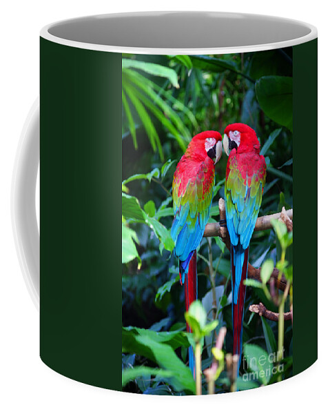 Parrots Coffee Mug featuring the photograph Two Parrots by Randy Harris