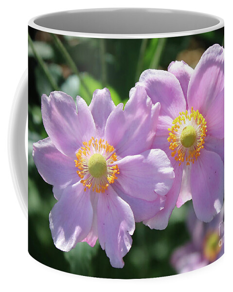 Anemone Coffee Mug featuring the photograph Two Pink Anemone Flowers by Carol Groenen