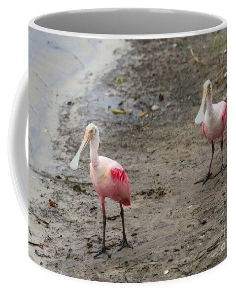 Two Birds Coffee Mug featuring the photograph Two Roseate Spoonbills 2 by Carol Groenen