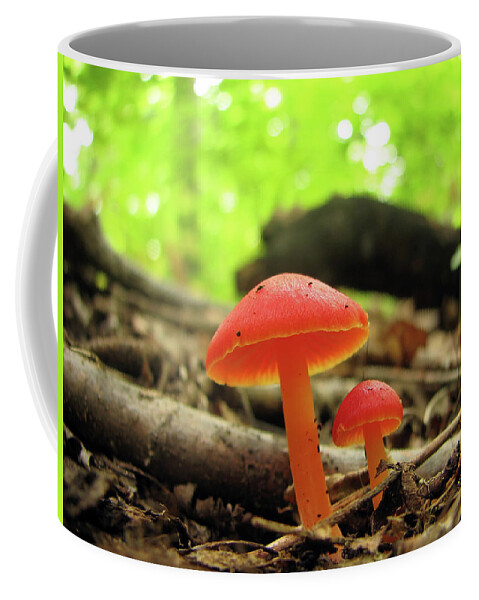 Mushroom Coffee Mug featuring the photograph Two shiny red mushrooms by GoodMood Art