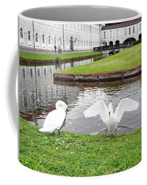 Swan Coffee Mug featuring the photograph Two Swans by Pema Hou