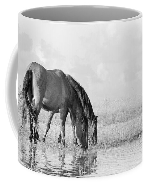 Horse Coffee Mug featuring the photograph Two Wild Mustangs by Bob Decker