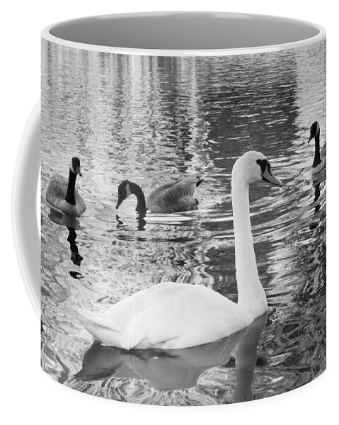 Boston Coffee Mug featuring the photograph Ugly Duckling by SR Green