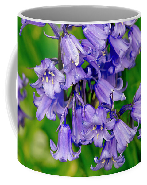 Hyacinthoides Non-scripta Coffee Mug featuring the photograph UK's Favourite flower. by Elena Perelman