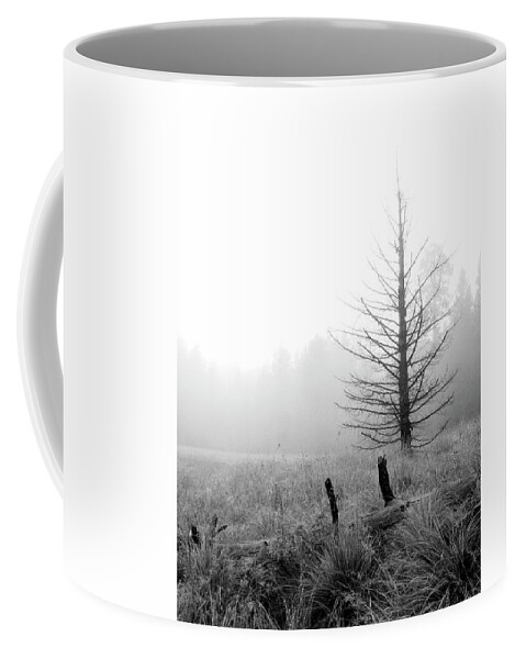 Arizona Coffee Mug featuring the photograph Unadorned by Steven Myers