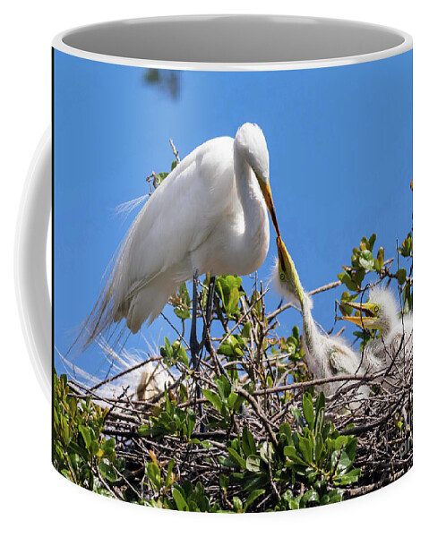 Egrets Coffee Mug featuring the photograph Unconditional Love by DB Hayes