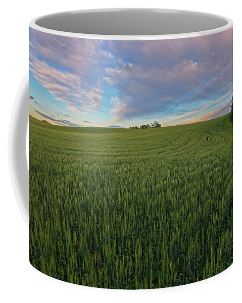 Barley Coffee Mug featuring the photograph Under a Summer Sky by Dan Jurak