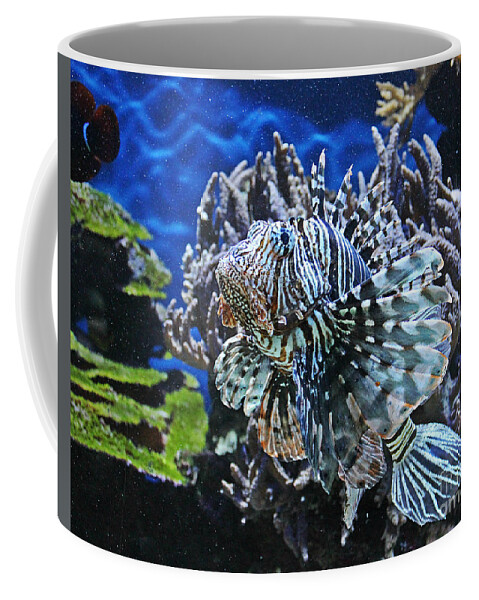 Fish Coffee Mug featuring the photograph Under cover by Binka Kirova