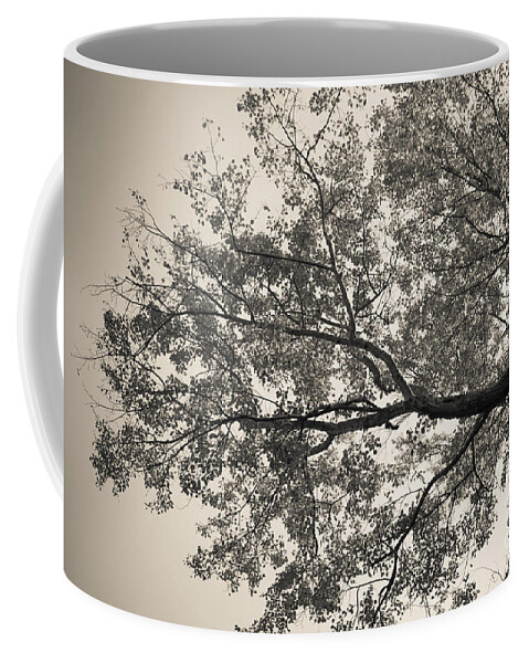 Tree Coffee Mug featuring the photograph Under The Trees by Ana V Ramirez