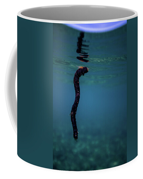 Underwater Coffee Mug featuring the photograph Underwater Branch by Gemma Silvestre