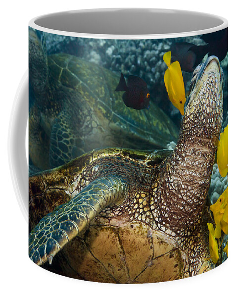 Animal Coffee Mug featuring the photograph Underwater Friends by Dave Fleetham
