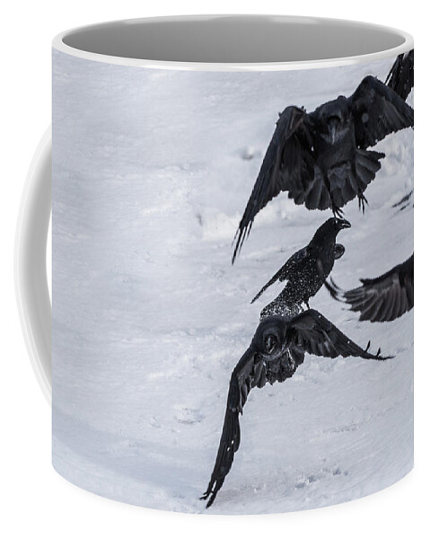 Ravens Coffee Mug featuring the photograph Unkindness by David Kirby