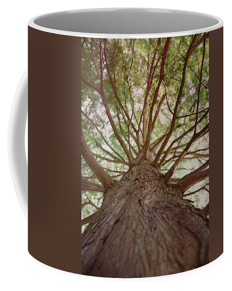 Tree Coffee Mug featuring the mixed media Up a Tree by Stephanie Hollingsworth