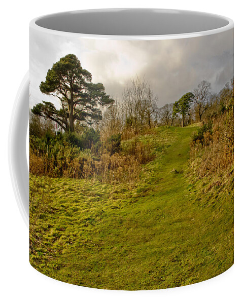 Hill Coffee Mug featuring the photograph Up the winter hill. by Elena Perelman