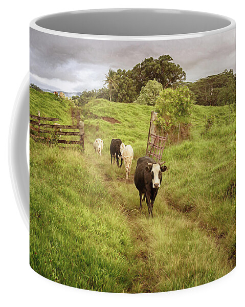 Cows Coffee Mug featuring the photograph Upcountry Ranch by Susan Rissi Tregoning