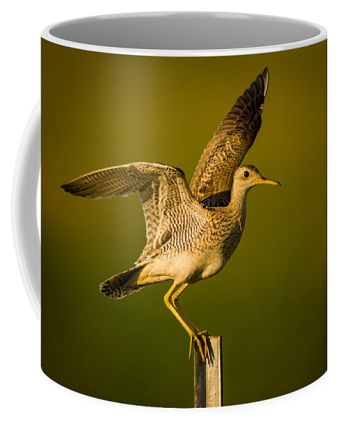Wildlife Coffee Mug featuring the photograph Upland Sandpiper on Steel Post by Jeff Phillippi
