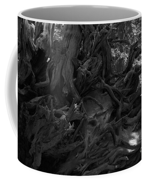 Roots Coffee Mug featuring the photograph Uprooted by Leah McPhail