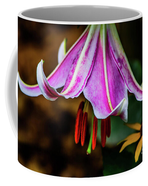 Flower Coffee Mug featuring the photograph Upside Down Trumpet Flower by Gerald Kloss