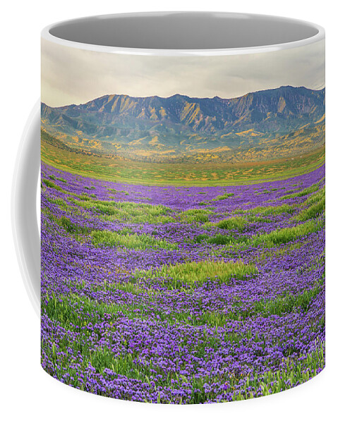 California Coffee Mug featuring the photograph Valley Phacelia and Caliente Range by Marc Crumpler