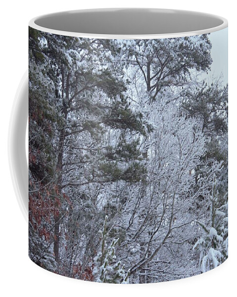 Shades Coffee Mug featuring the photograph Variable White by Ali Baucom