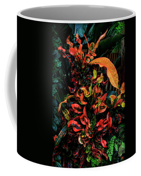 Bonnie Follett Coffee Mug featuring the photograph Variegated Croton Burst of Color by Bonnie Follett