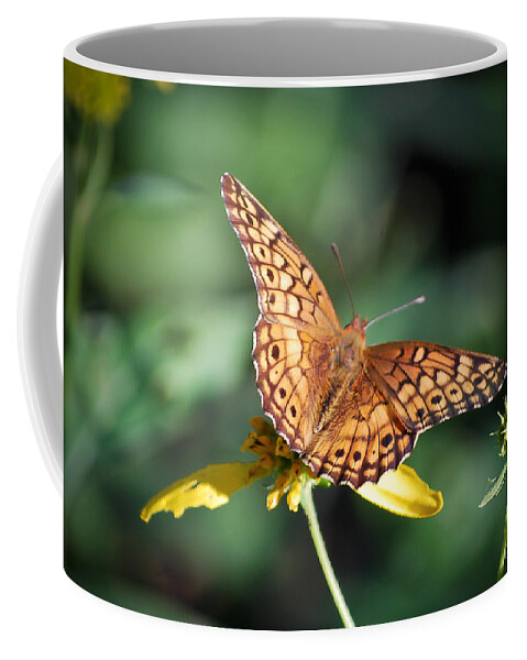 Butterfly Coffee Mug featuring the photograph Variegated Fritillary Butterfly by Kerri Farley