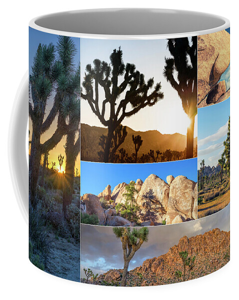 Joshua Tree Coffee Mug featuring the photograph Variety of Joshua Tree Collage by Joseph S Giacalone
