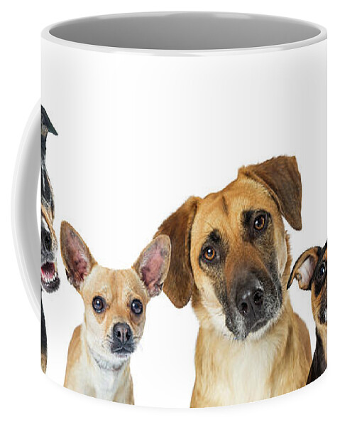 Dog Coffee Mug featuring the photograph Various Dogs Horizontal Web Banner by Good Focused