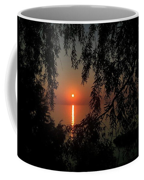 Lake Coffee Mug featuring the photograph Veil by Terri Hart-Ellis