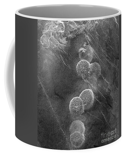 Science Coffee Mug featuring the photograph Venus, Alpha Regio by Science Source